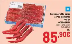 Makro Octogamba - carabinero m a bordo 14/19 piezas/kg fao 34 oferta