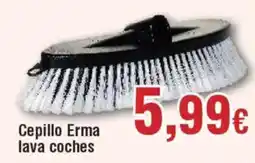 Hiper FROIZ Cepillo Erma lava coches oferta