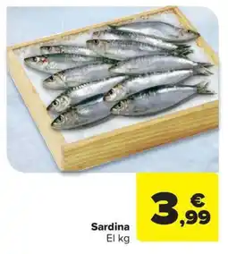 Carrefour Market Sardina oferta