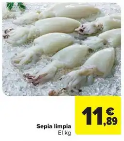Carrefour Market Sepia limpia oferta