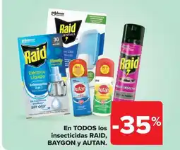 Carrefour Market RAID, BAYGON Y AUTAN En todos los insecticidas oferta
