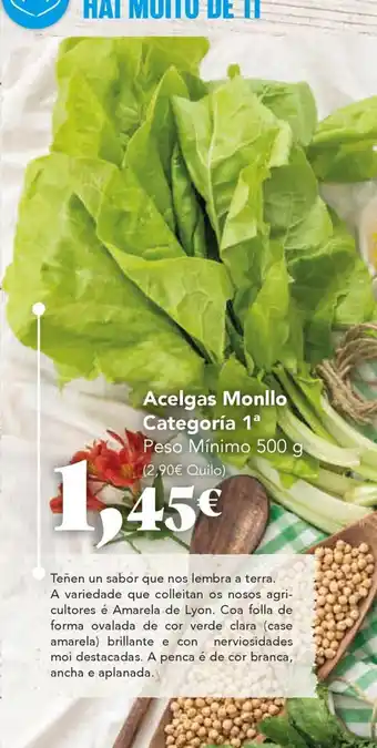 Gadis Acelgas Monllo oferta