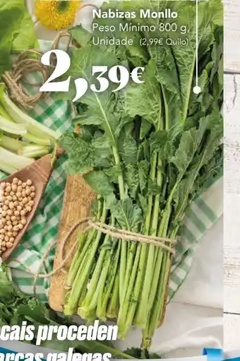 Gadis Nabizas Monllo oferta