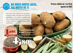 Gadis Pataca Selección Prado oferta