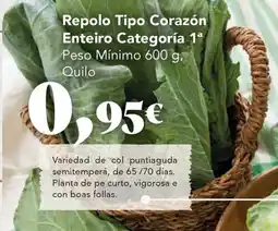 Gadis Repolo Tipo Corazón Enteiro oferta