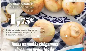 Gadis Cebola Chata oferta