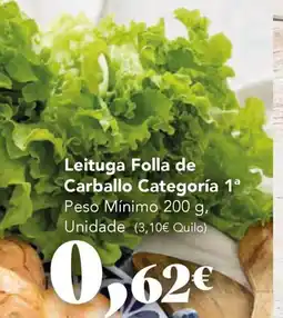 Gadis Leituga Folla de Carballo oferta
