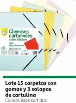 Alcampo Lote 15 carpetas con gomas y 3 solapas de cartulina oferta