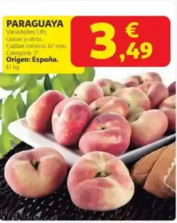 Alcampo Paraguaya oferta