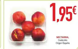 Masymas Nectarina oferta