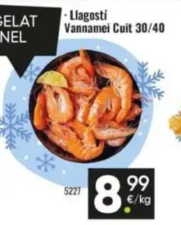 Family Cash Llagostí oferta