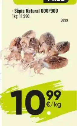 Family Cash Sèpia Natural oferta