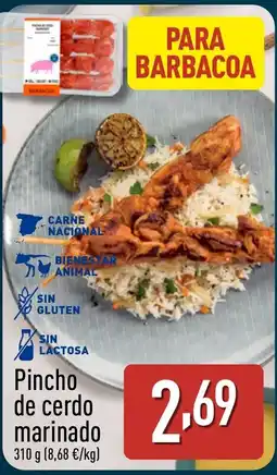 ALDI Pincho de cerdo marinado oferta