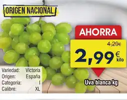 FROIZ Uva blanca oferta