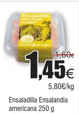 FROIZ Ensaladilla Ensalandia americana oferta