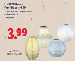 Lidl LIVARNO HOME Farolillo solar LED oferta