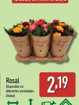 ALDI Rosal oferta