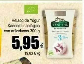 FROIZ Helado De Yogur Xanceda Ecológico Con Arándanos oferta