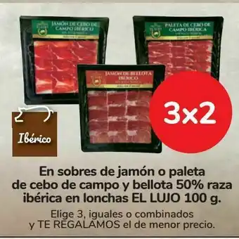 Carrefour En sobres de jamón o paleta de cebo de campo y bellota 50% raza ibérica en lonchas el lujo 100 g oferta