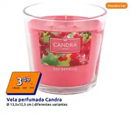 Action Vela perfumada Candra oferta