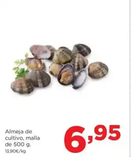 Alimerka Almeja de cultivo oferta