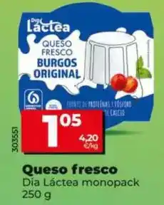 Dia Dia lactea - queso fresco monopack 250 g oferta