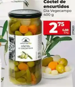 Dia Dia vegecampo - cóctel de encurtidos 400 g oferta