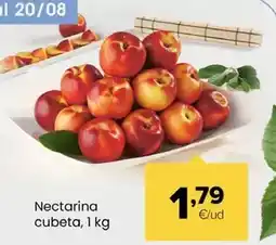 Autoservicios Familia Nectarina cubeta oferta