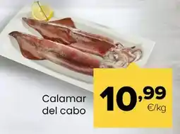 Autoservicios Familia Calamar del cabo oferta
