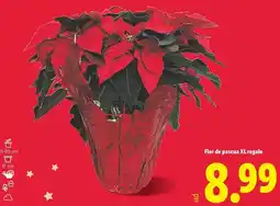 Dia El molino de dia - pan de molde blanco sin corteza oferta