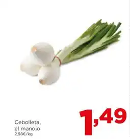 Alimerka Cebolleta, el manojo oferta