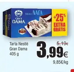 FROIZ DAMA Tarta Nestlé Gran oferta