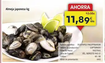 FROIZ Almeja japonesa oferta