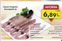 FROIZ Calamar Patagónico descongelado oferta