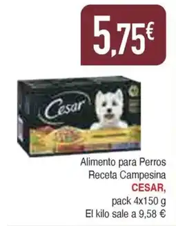 Masymas CESAR Alimento para Perros Receta Campesina oferta