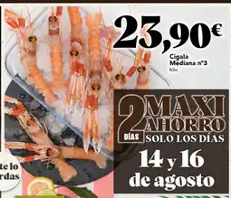 Gadis Cigala oferta