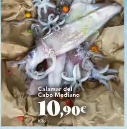 Gadis Calamar del Cabo Mediano oferta