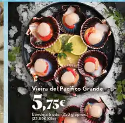 Gadis Vieira del Pacífico Grande oferta