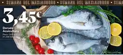 Gadis Dorada Acuicultura oferta