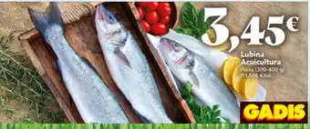 Gadis Lubina Acuicultura oferta