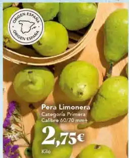 Gadis Pera Limonera oferta