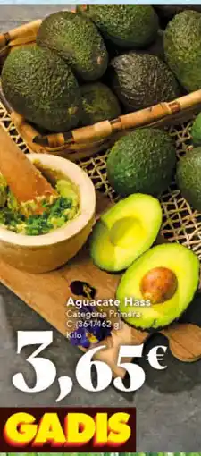 Gadis Aguacate Hass oferta