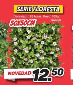 Mandatelo.com Serie floresta oferta