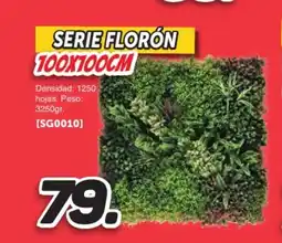 Mandatelo.com Serie florón oferta