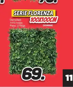 Mandatelo.com Serie florenza oferta