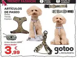 Kiwoko ARTÍCULOS DE PASEO Gotoo Trendy Fashion oferta