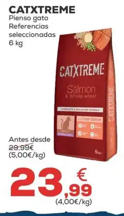 Kiwoko CATXTREME Pienso gato Referencias oferta