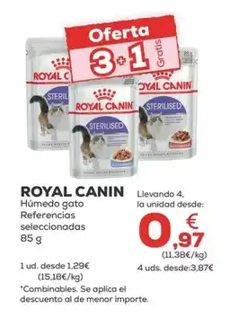Kiwoko ROYAL CANIN Húmedo gato Referencias seleccionadas oferta