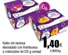 FROIZ Nestlé - kaiku sin lactosa desnatado con frambuesa o melocoton oferta