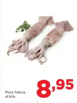 Alimerka Pota fresca oferta